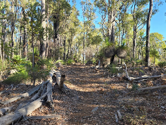 Elevate & Explore | Yarrigil to Murray Endurance Hike