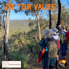 Live Your Values