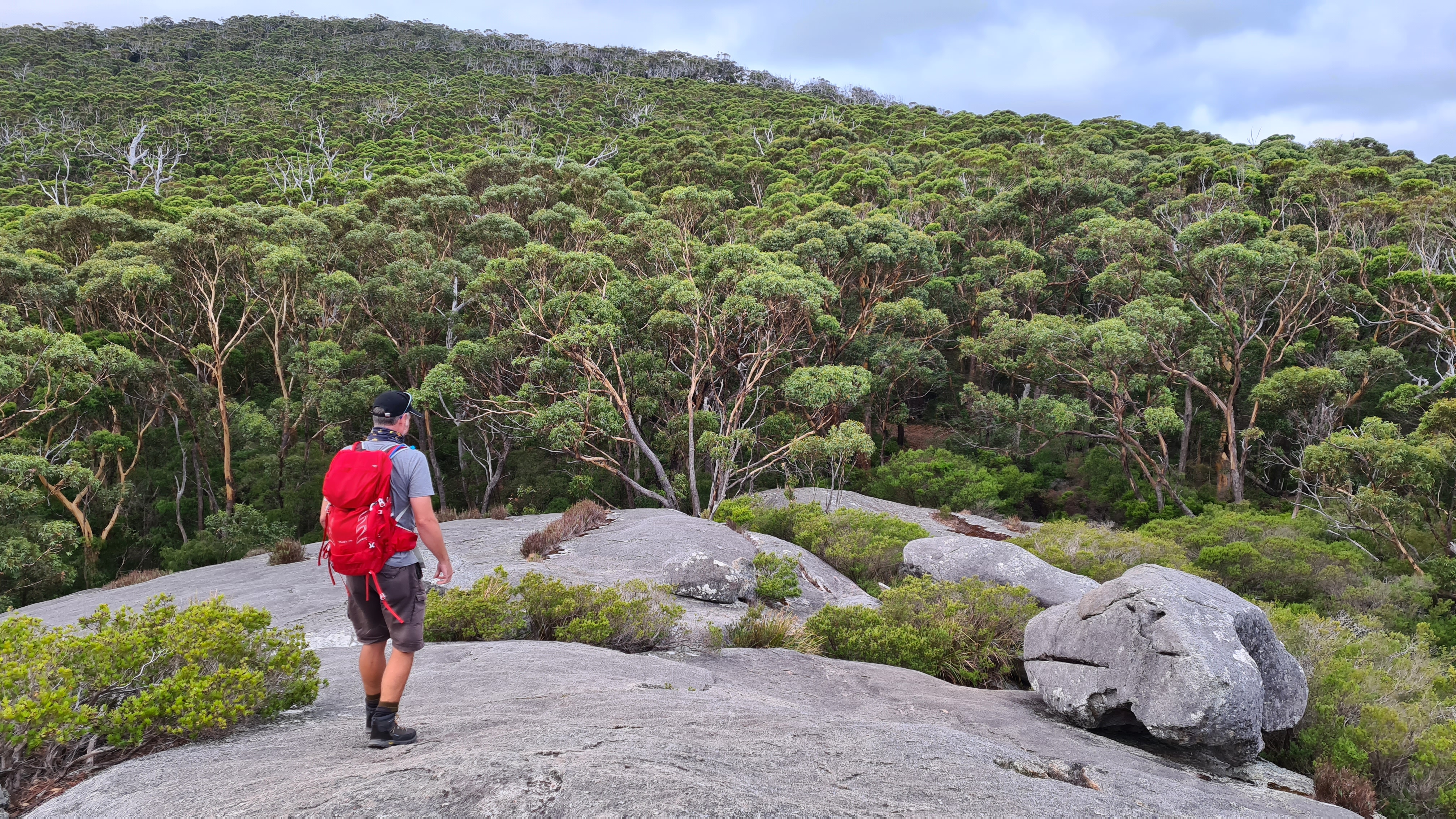 Walpole Wilderness Gourmet Adventure