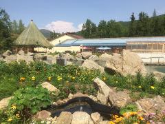 Chena Hot Springs Private Day Tour