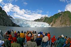 Kenai Fjords Scenic Glacier & Wildlife Cruise