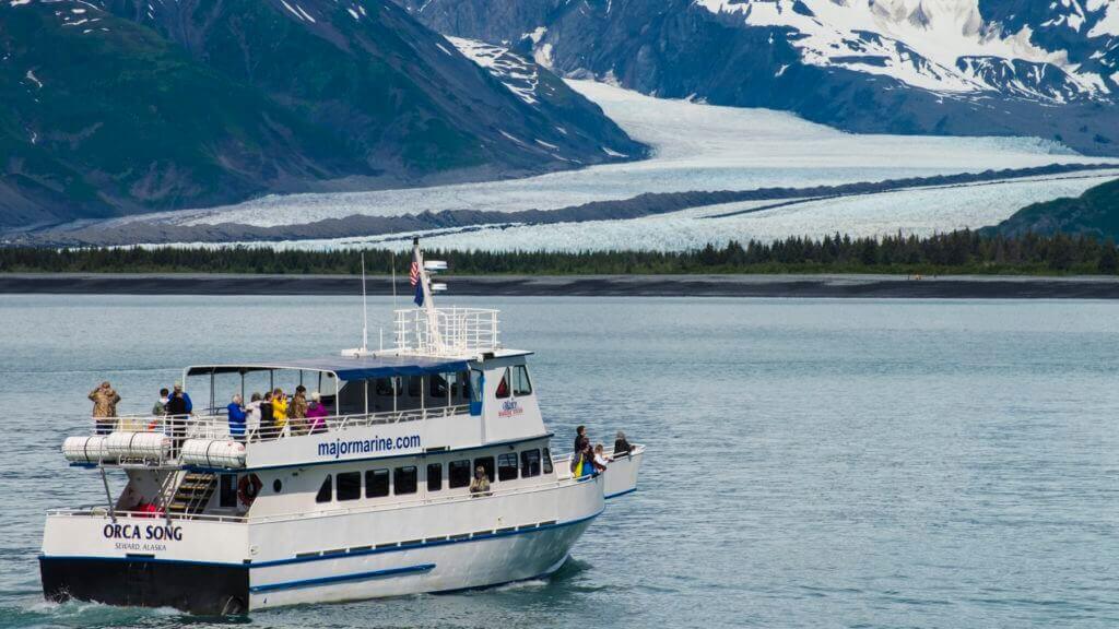 Kenai Fjords Gray Whale Tour - Self-driving