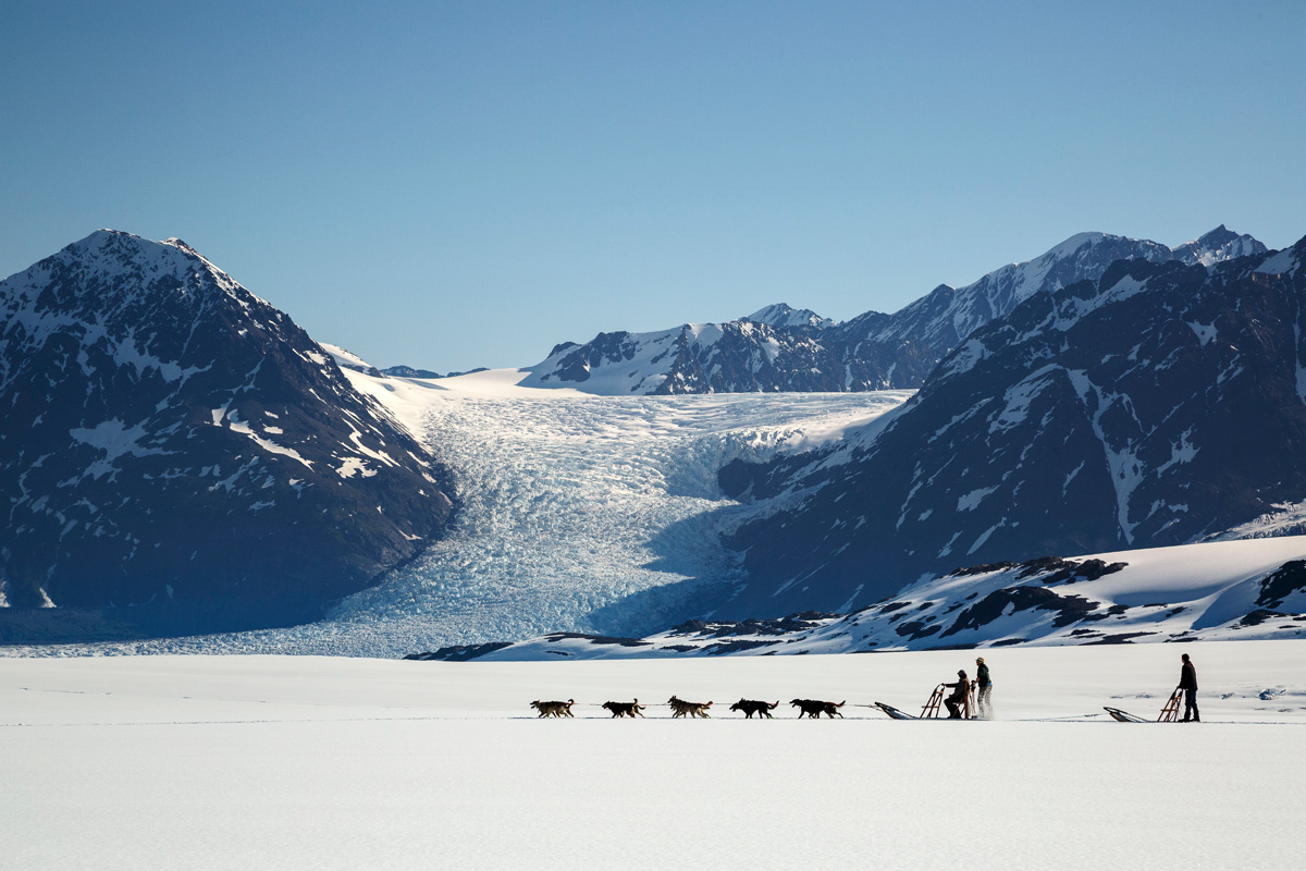 Glacier Dog Sledding by Helicopter