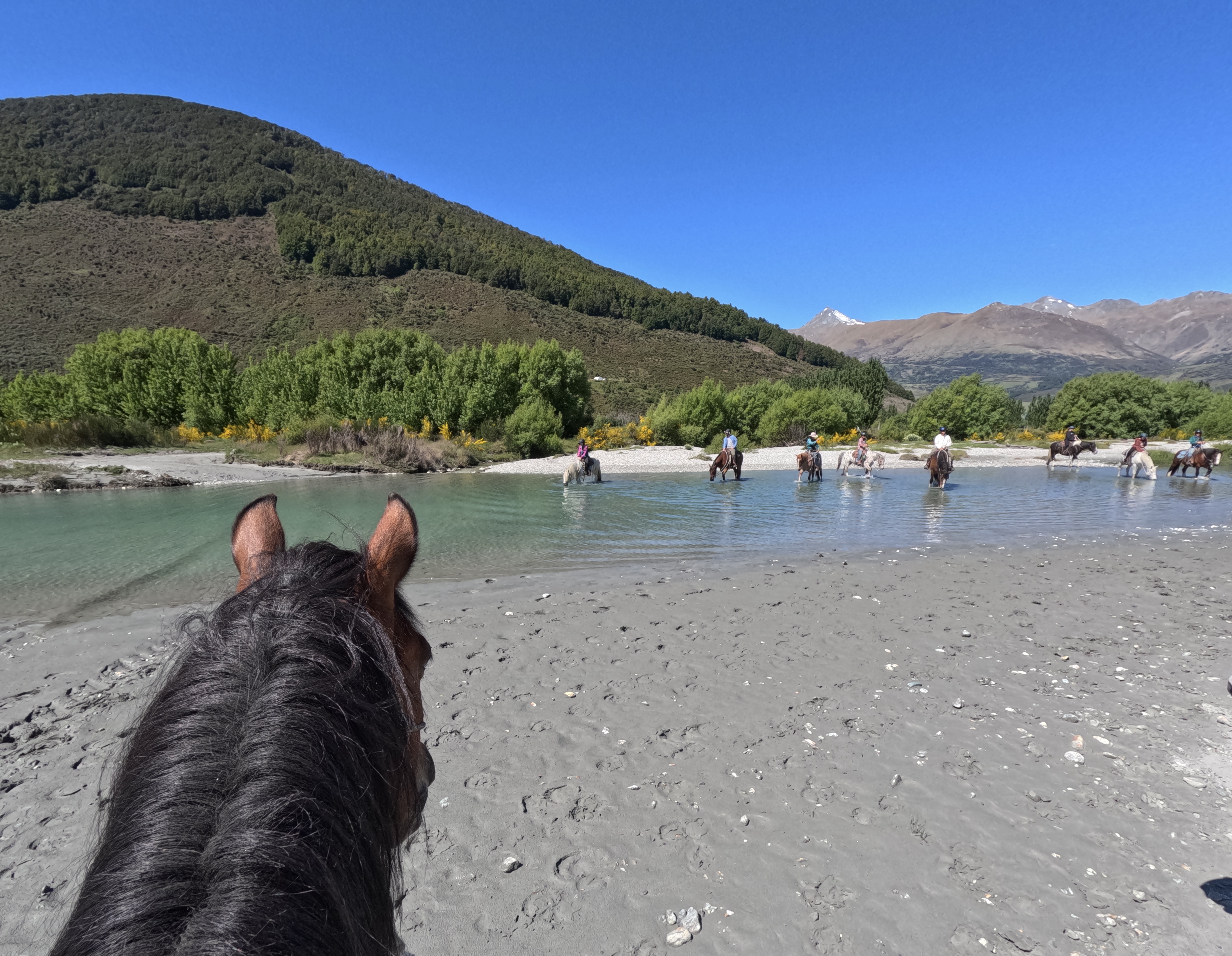 River Wild (Original) - Lighthorse Adventures Reservations