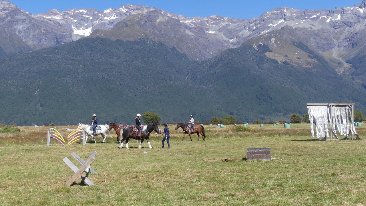 Parelli Natural Horsemanship Levels 1 and 2 Clinic