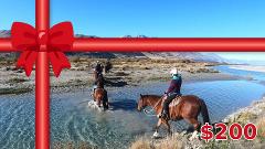 $200 Lighthorse Adventures Gift Card