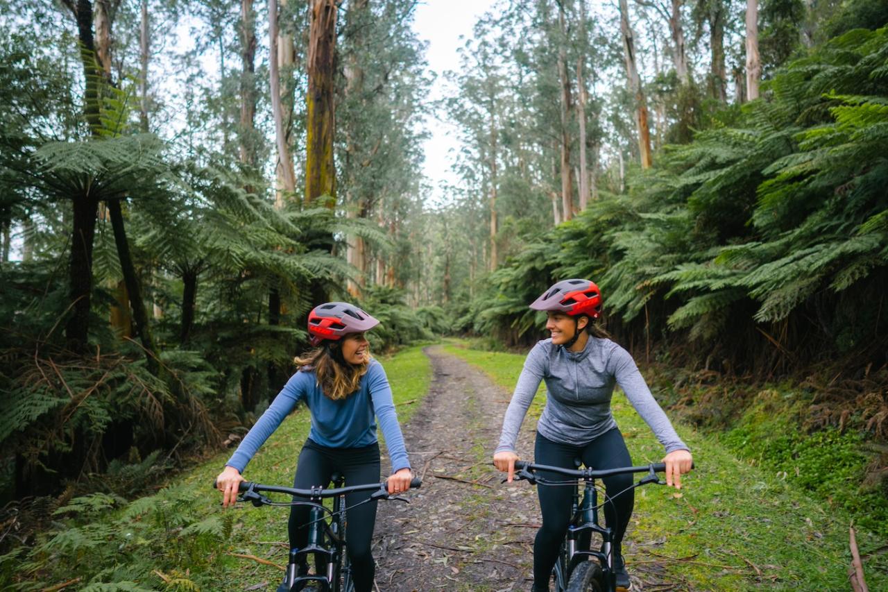 Brave Babes Redwood Forest Mountain Bike Adventure