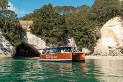 Cathedral Cove and Coastal Tour