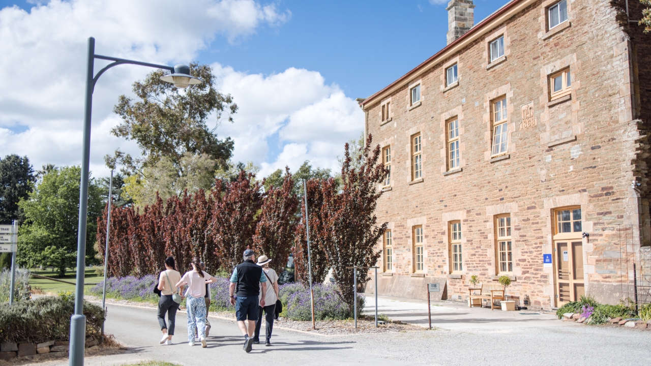 Guided Sevenhill History Tour