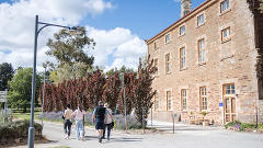 Guided Sevenhill History Tour