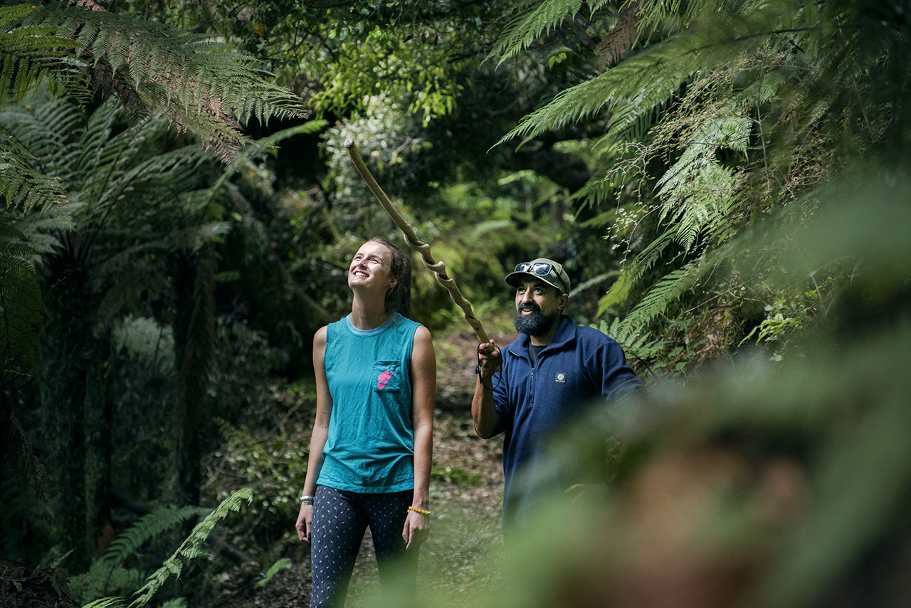 Whirinaki Forest Footsteps Half Day Guided Cultural Walking Tour