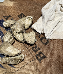 Oyster Farm Tour- Gift Card