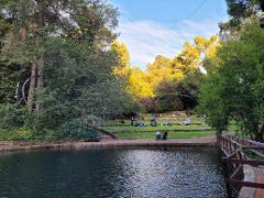 Valentine's Day Romantic Garden Escape Sundowner