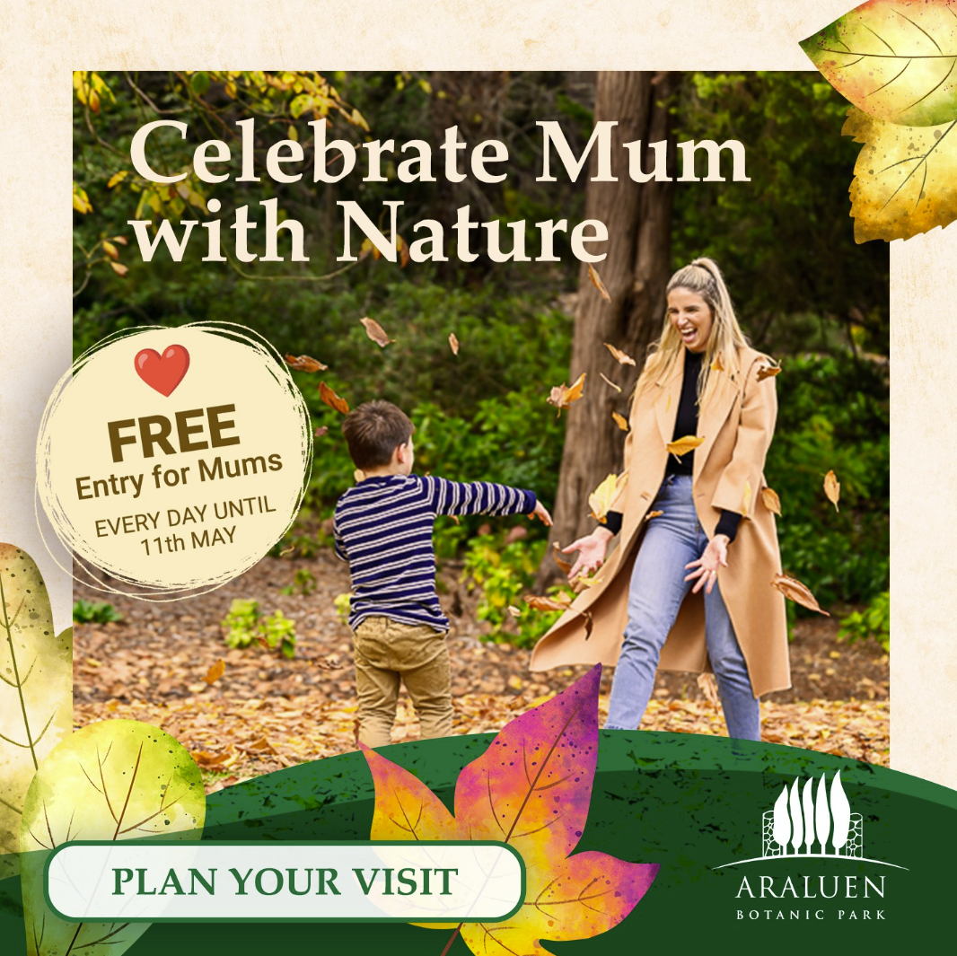 Free Entry for Mums
