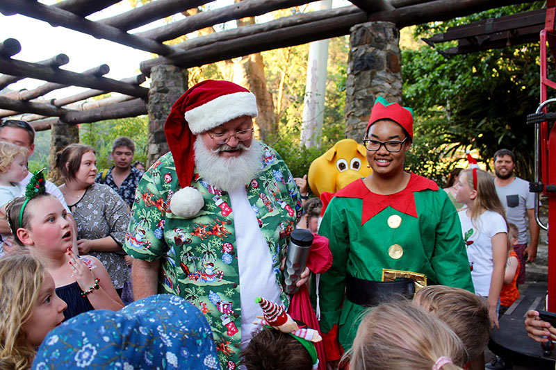 Z. Christmas Carols by Torchlight Araluen Botanic Park Foundation Inc