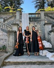 Symphony amongst the Tulips - A Tribute to Bridgerton