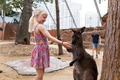 WILD LIFE Sydney Zoo - Daily Offpeak