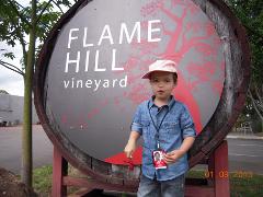 Tour 4 Visit  Flame Hill Vineyard 