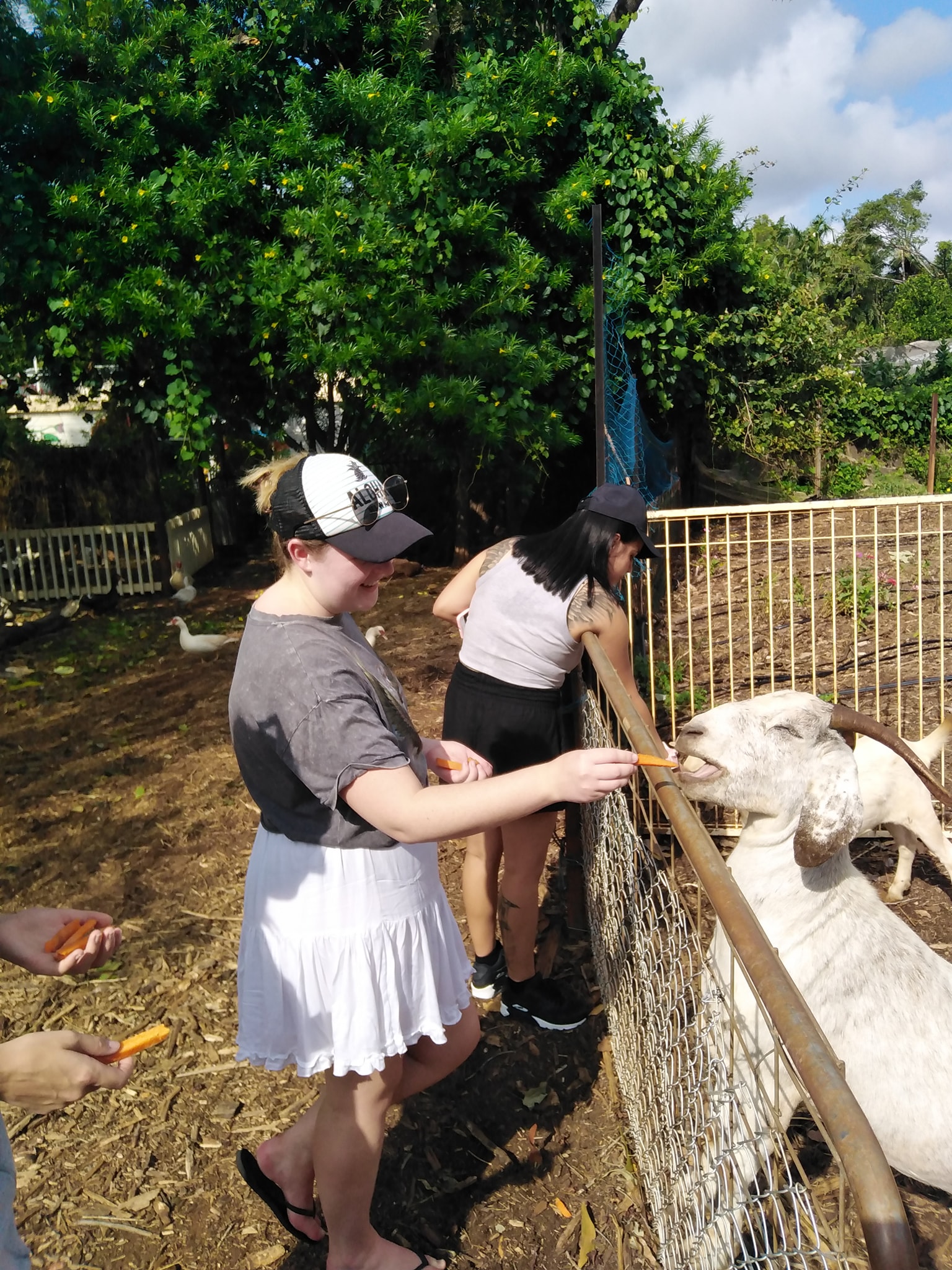 Private Guided One Day Litchfield Park Adventures Tour