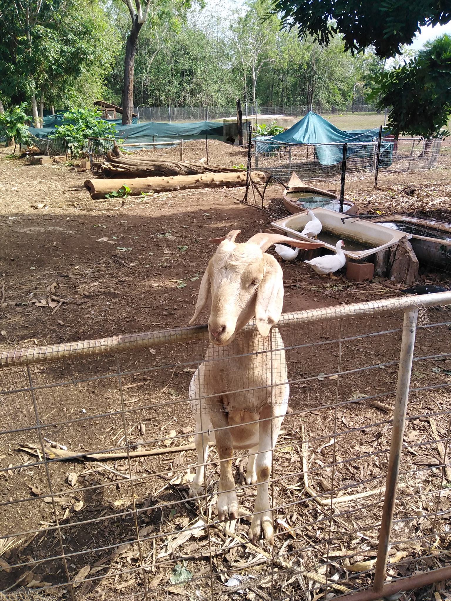 Private Guided One Day Litchfield Park Adventures Tour