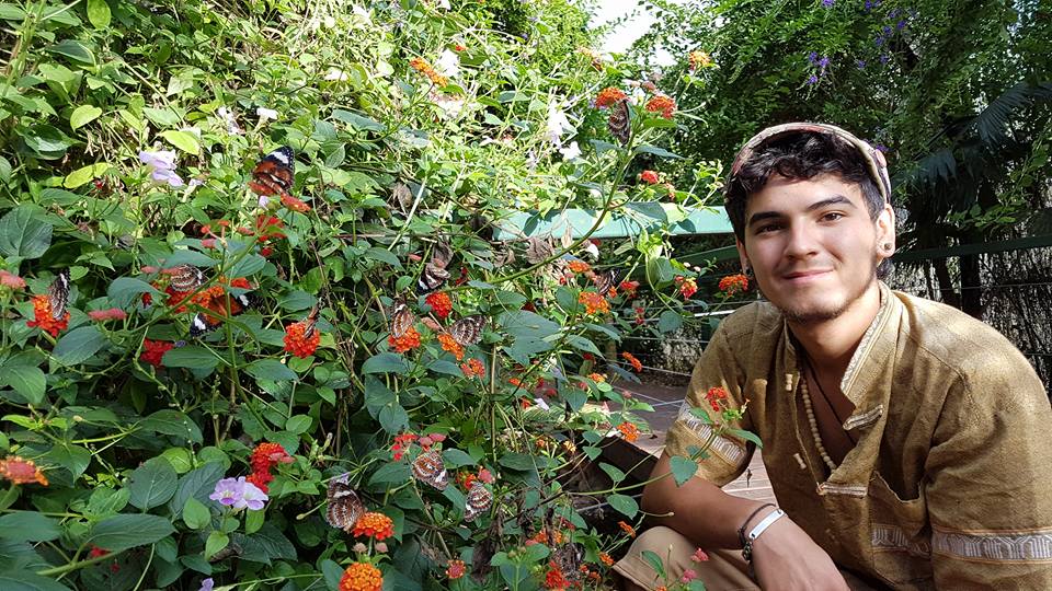 Private Guided One Day Litchfield Park Adventures Tour