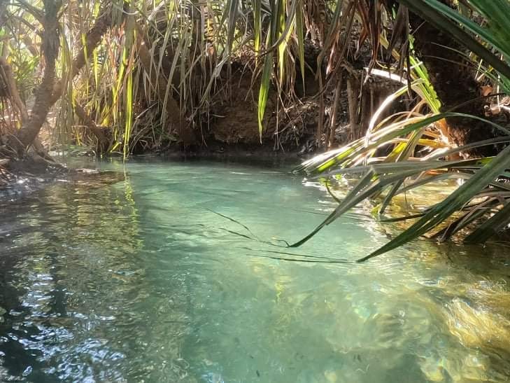 Darwin to Katherine Day Tour