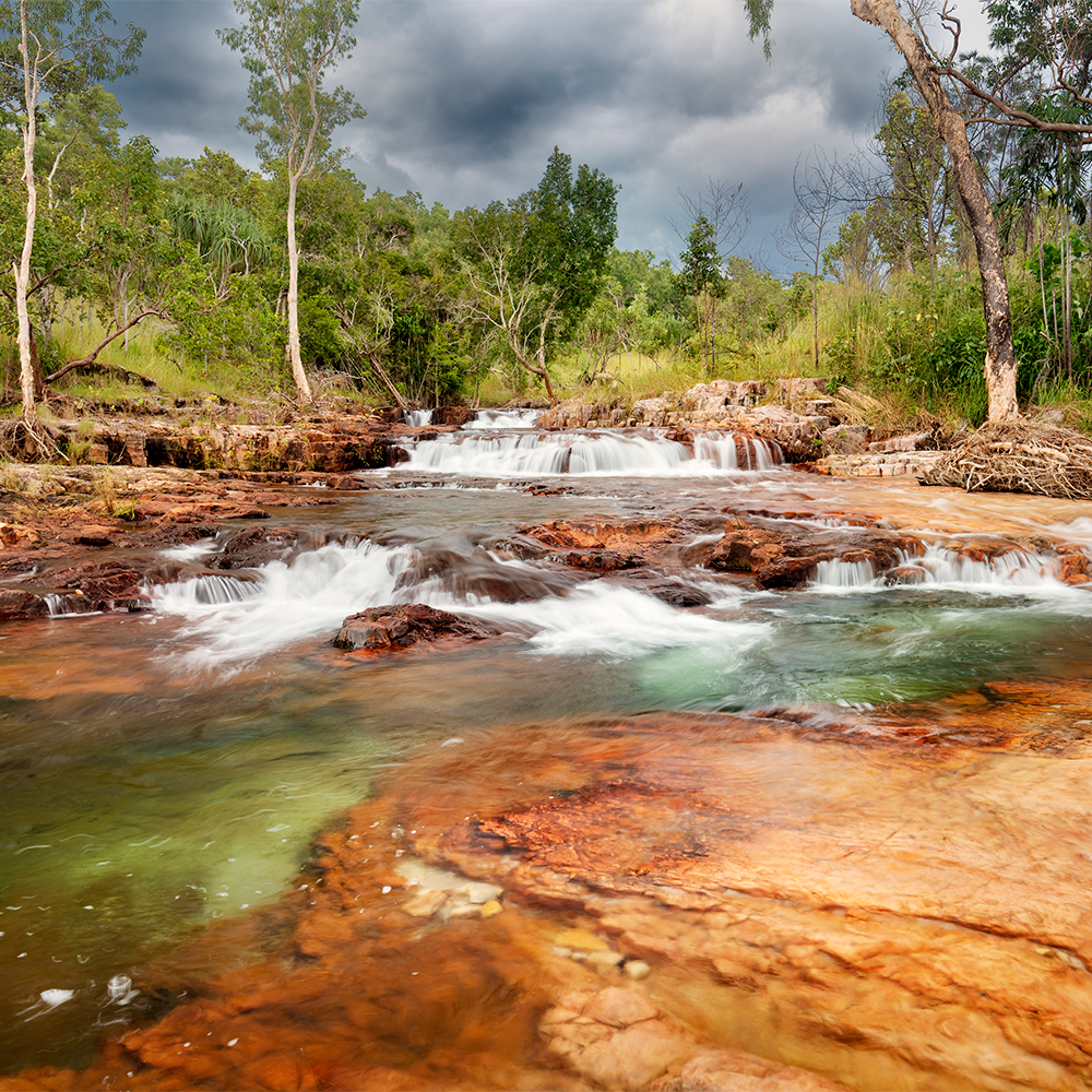 Private Guided One Day Litchfield Park Adventures Tour