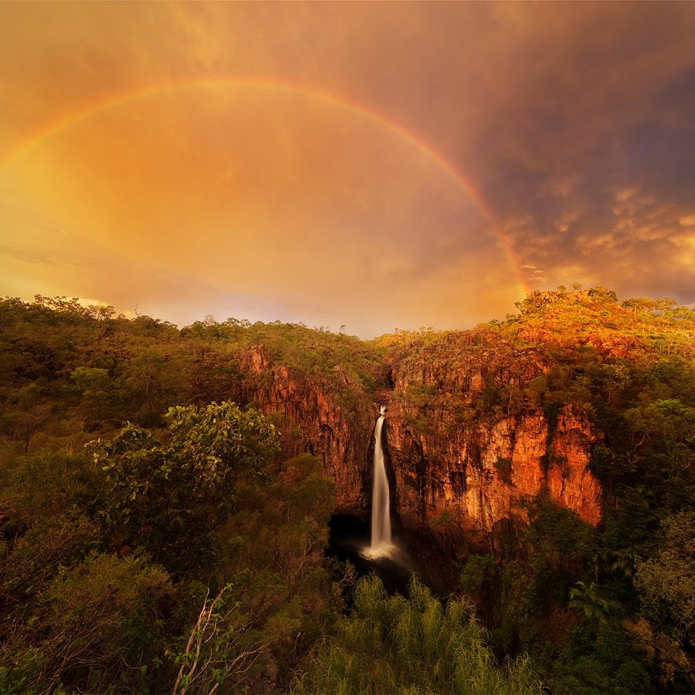 Private Guided One Day Litchfield Park Adventures Tour