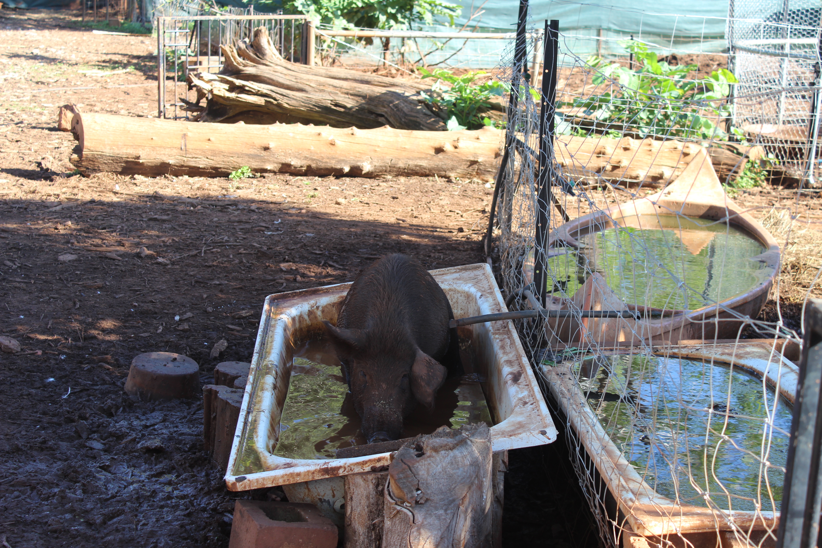 Private Guided One Day Litchfield Park Adventures Tour