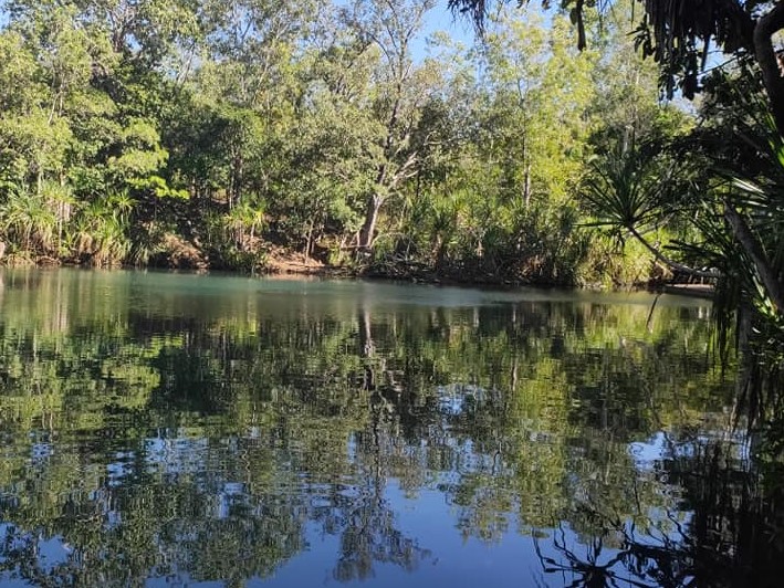 Jumping Crocodile Cruise and Berry Springs - Litchfield Park Adventures ...