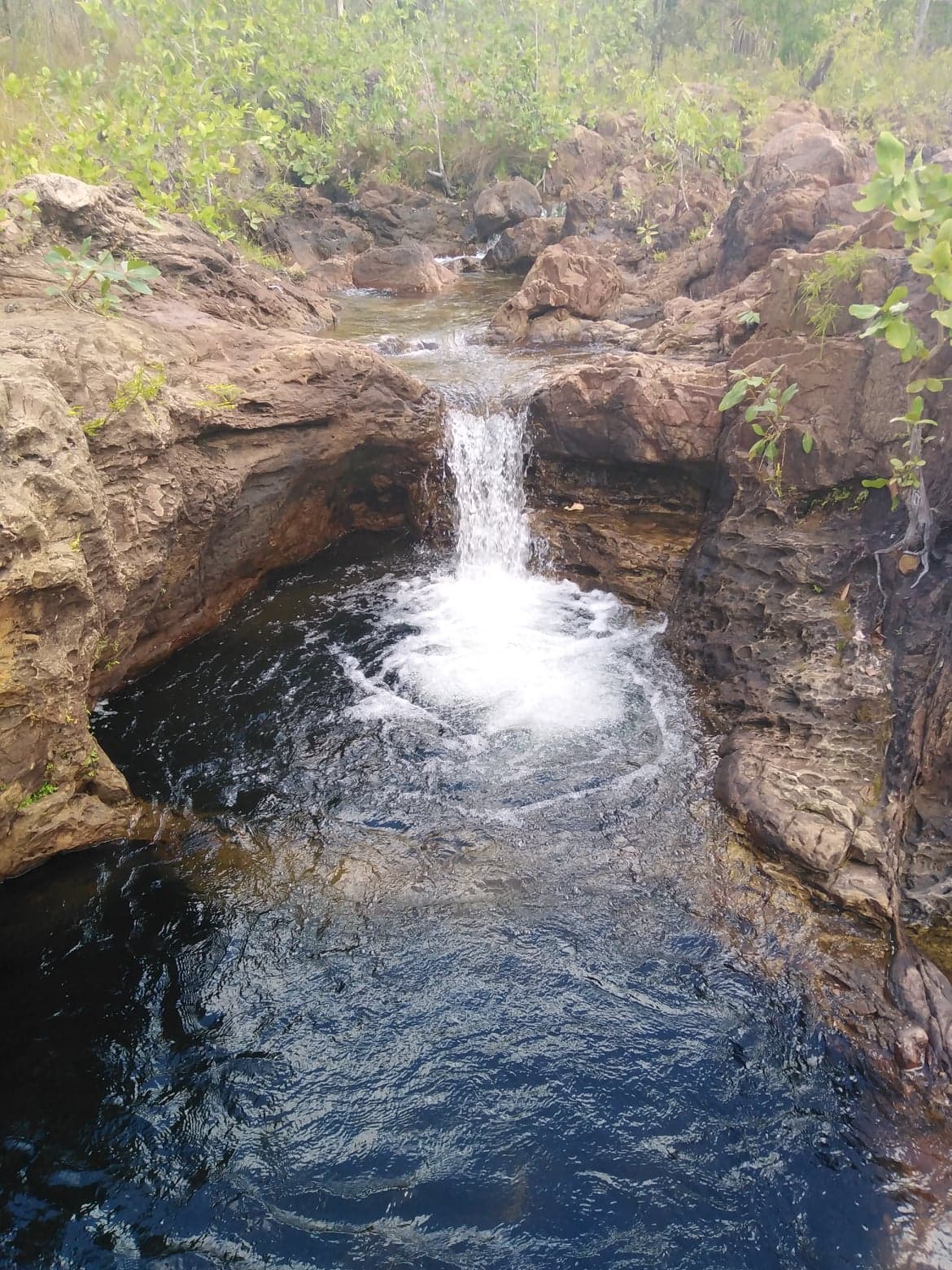 Private Guided One Day Litchfield Park Adventures Tour