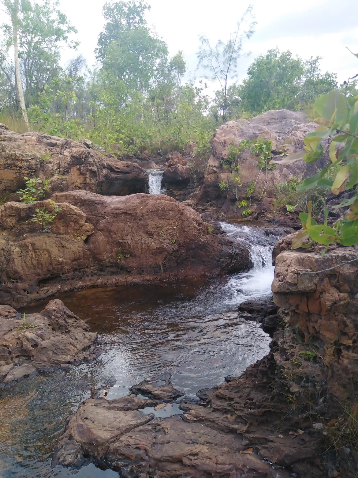 Private Guided One Day Litchfield Park Adventures Tour