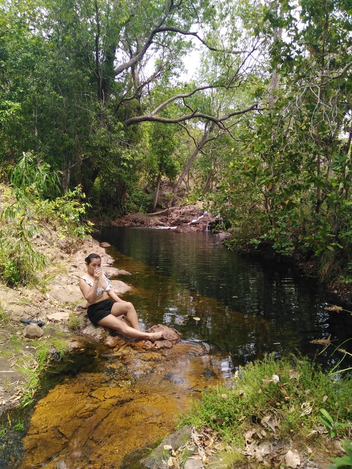 Private Guided One Day Litchfield Park Adventures Tour