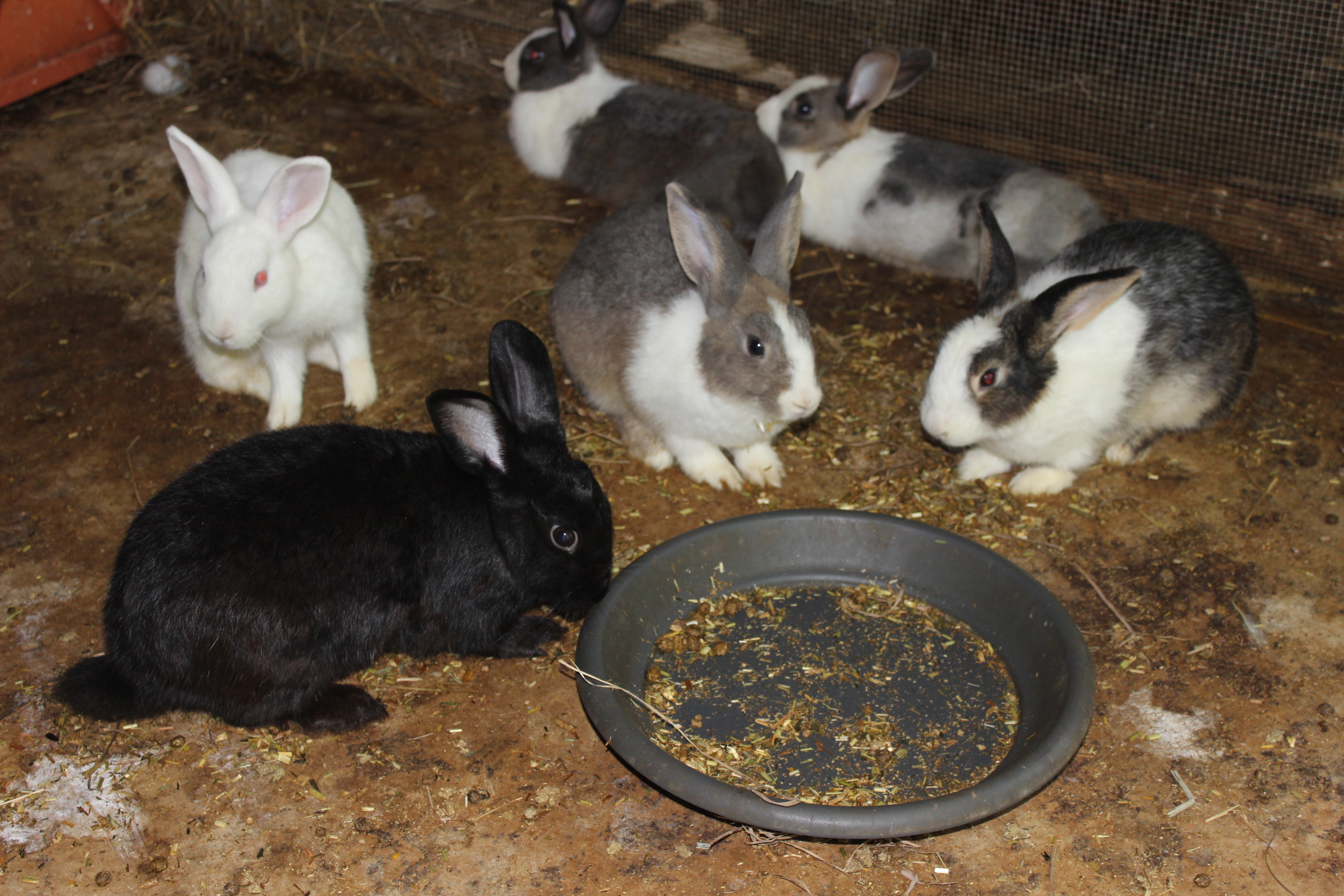 Private Guided One Day Litchfield Park Adventures Tour