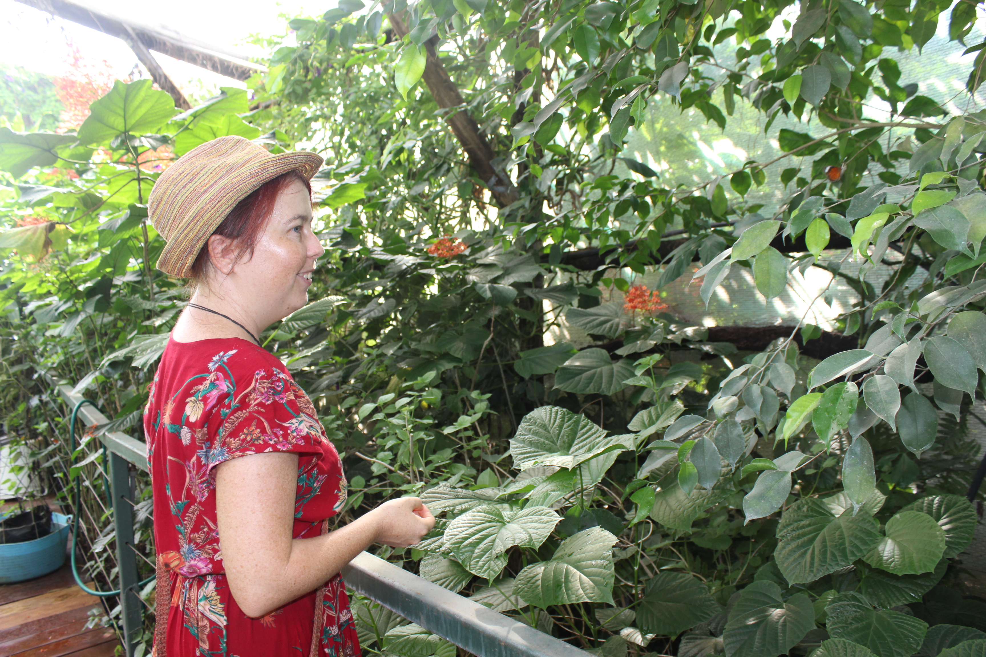 Private Guided One Day Litchfield Park Adventures Tour