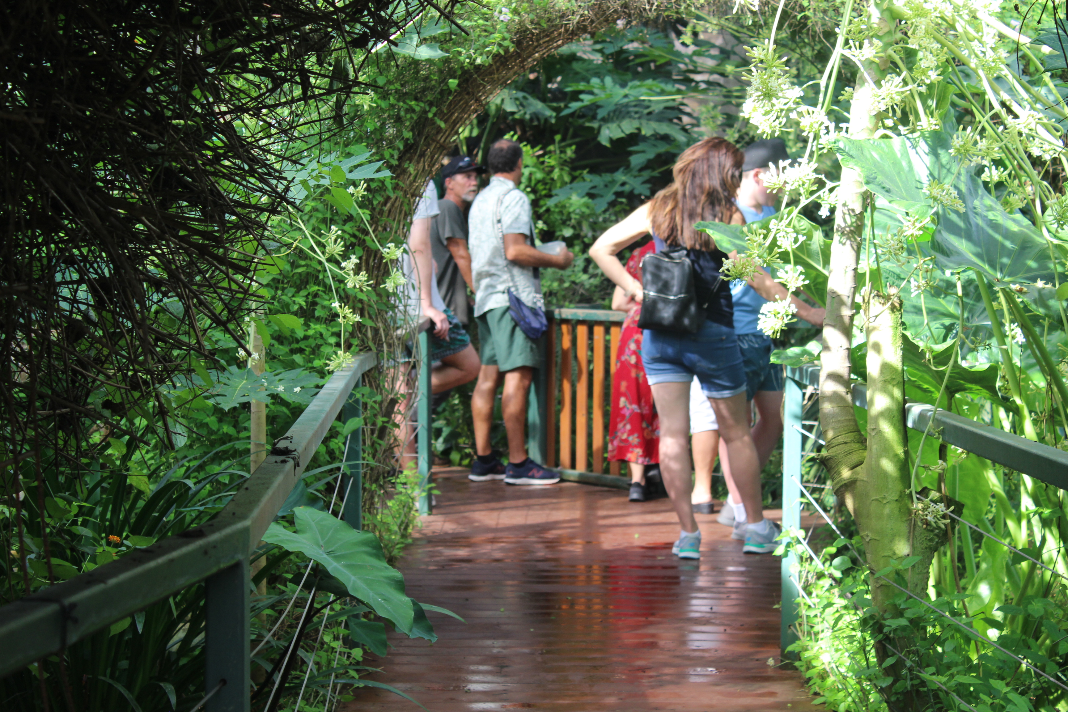 Private Guided One Day Litchfield Park Adventures Tour