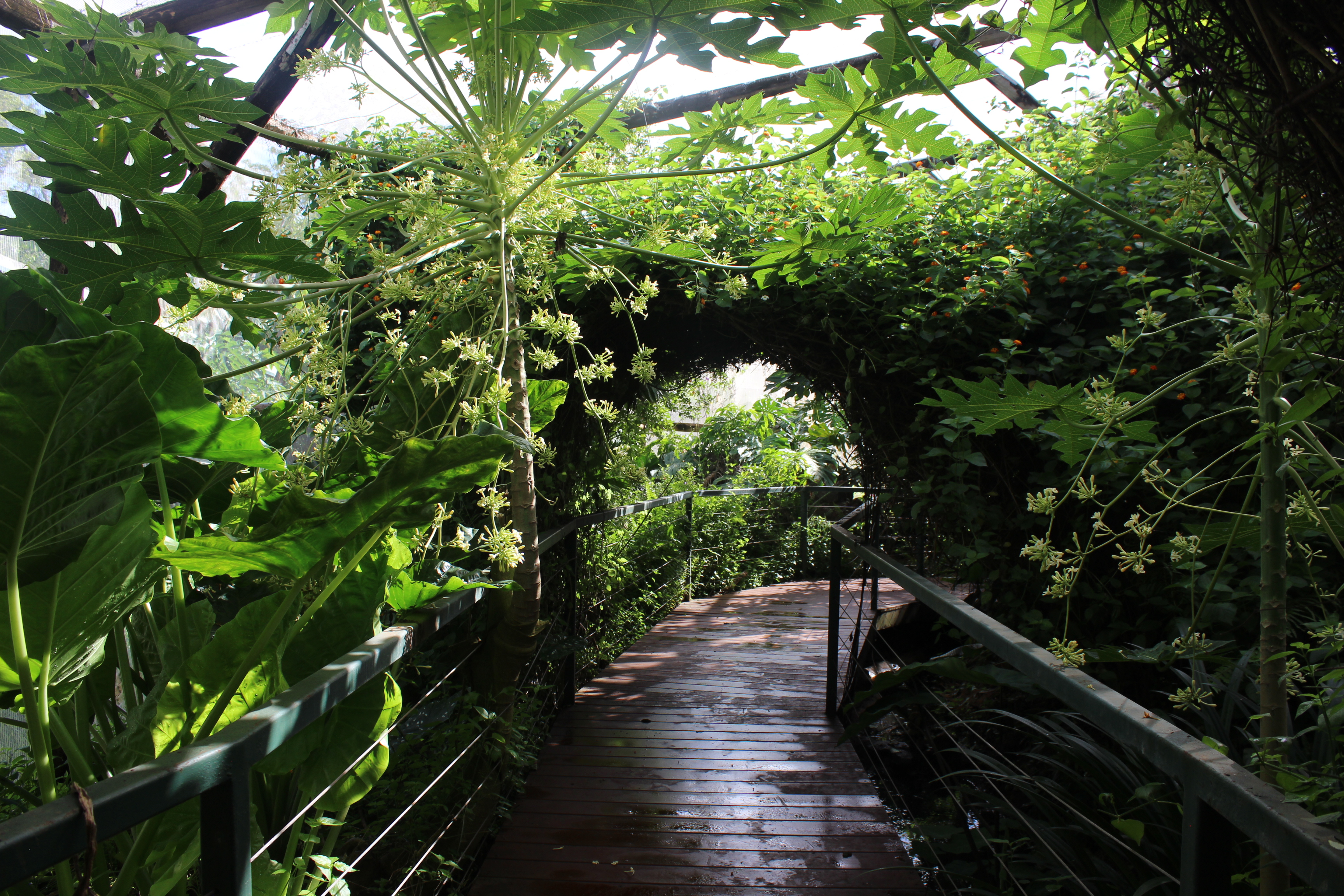 Private Guided One Day Litchfield Park Adventures Tour