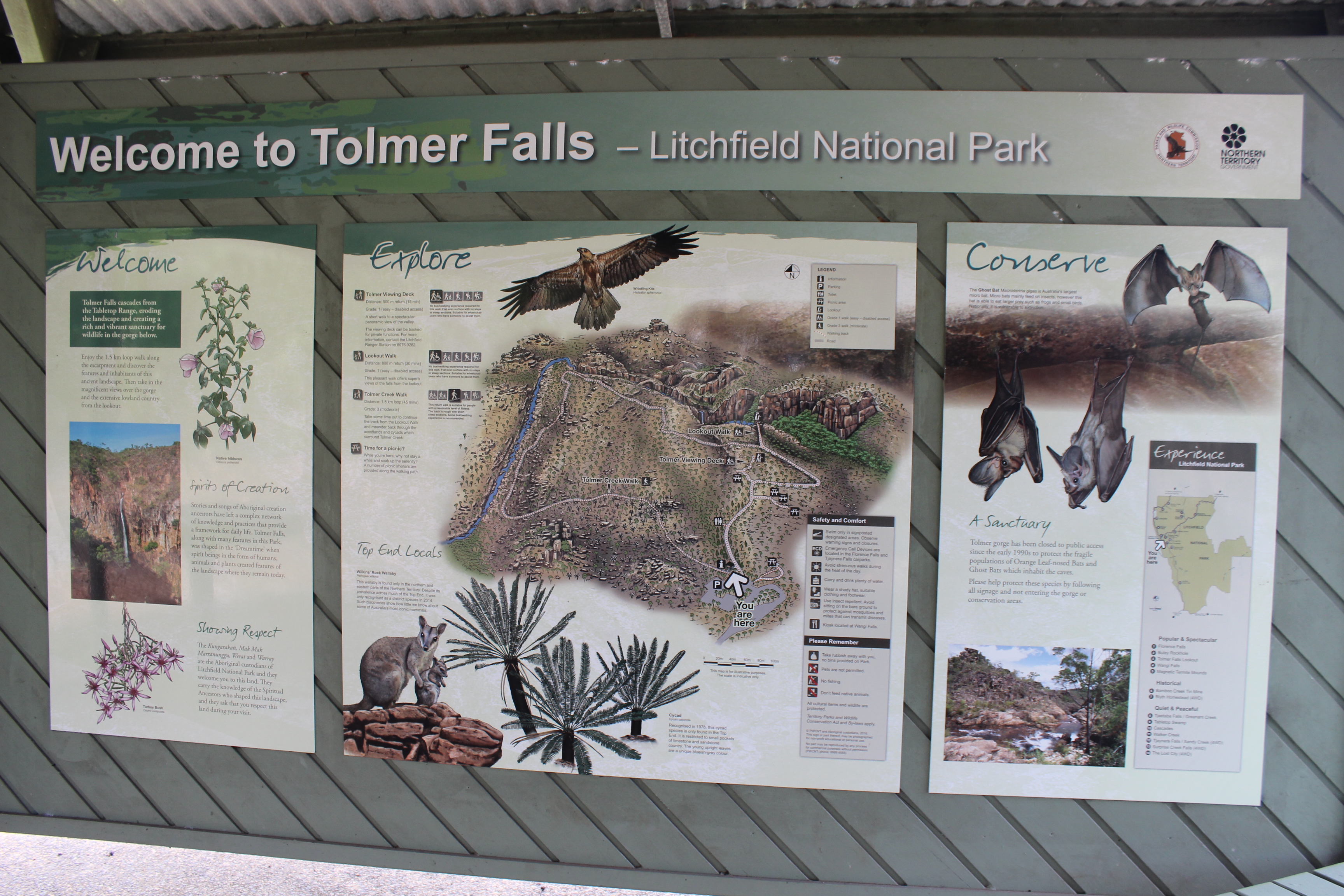 Private Guided One Day Litchfield Park Adventures Tour