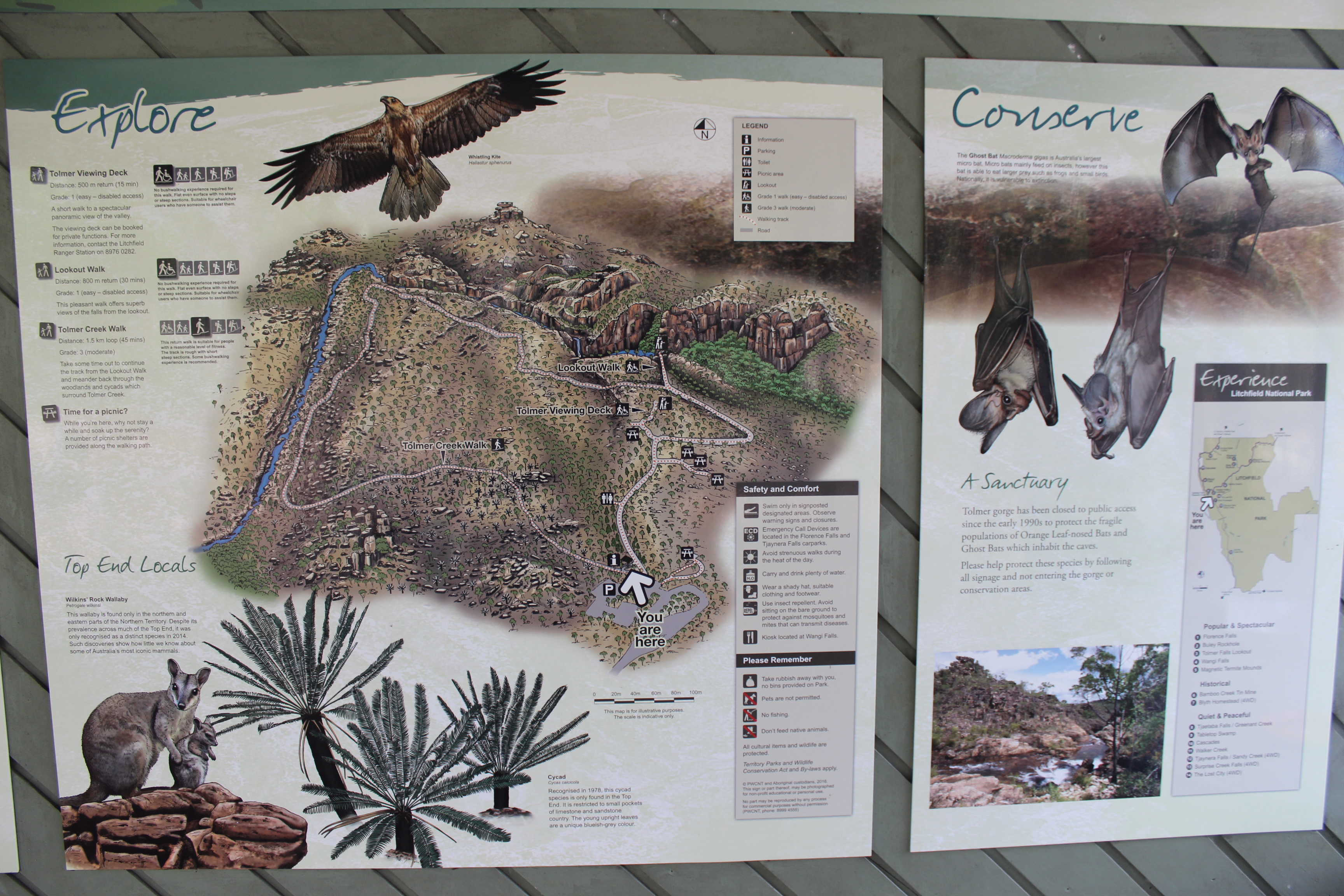 Private Guided One Day Litchfield Park Adventures Tour