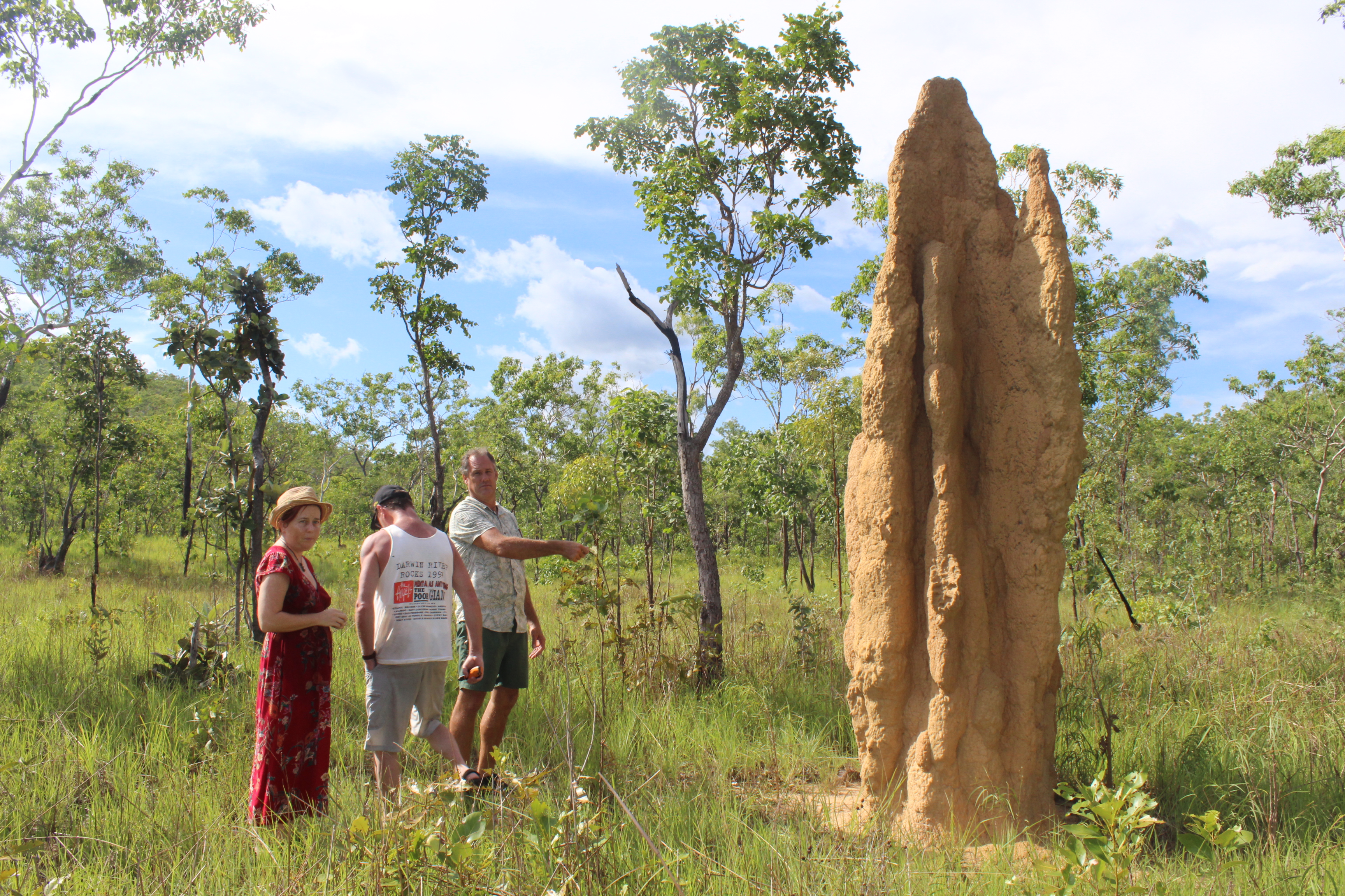 Private Guided One Day Litchfield Park Adventures Tour