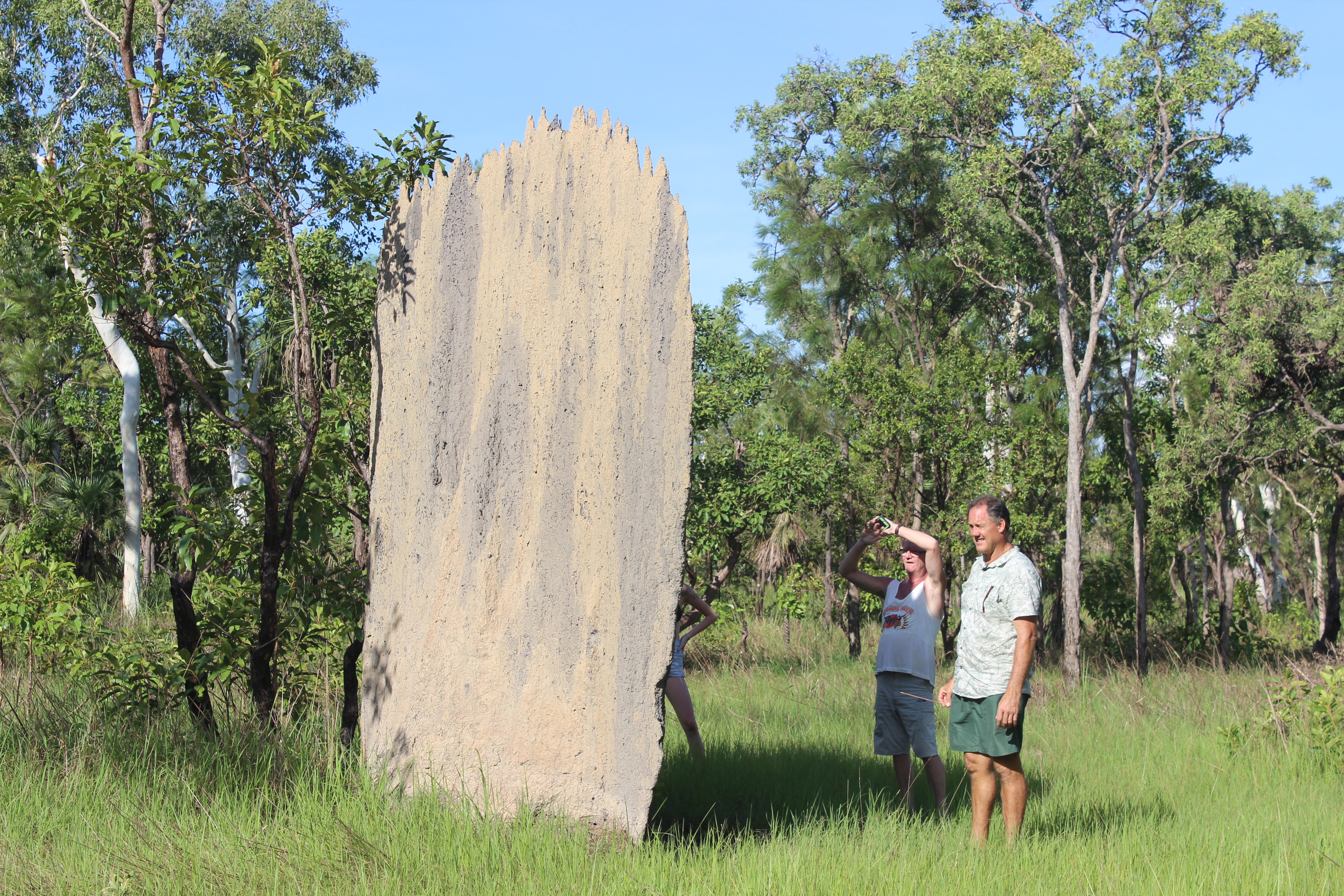 Private Guided One Day Litchfield Park Adventures Tour