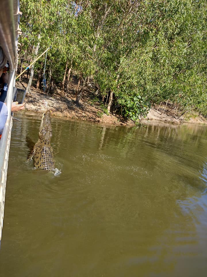 Breeze Darwin city tour and jumping crocodile cruise.