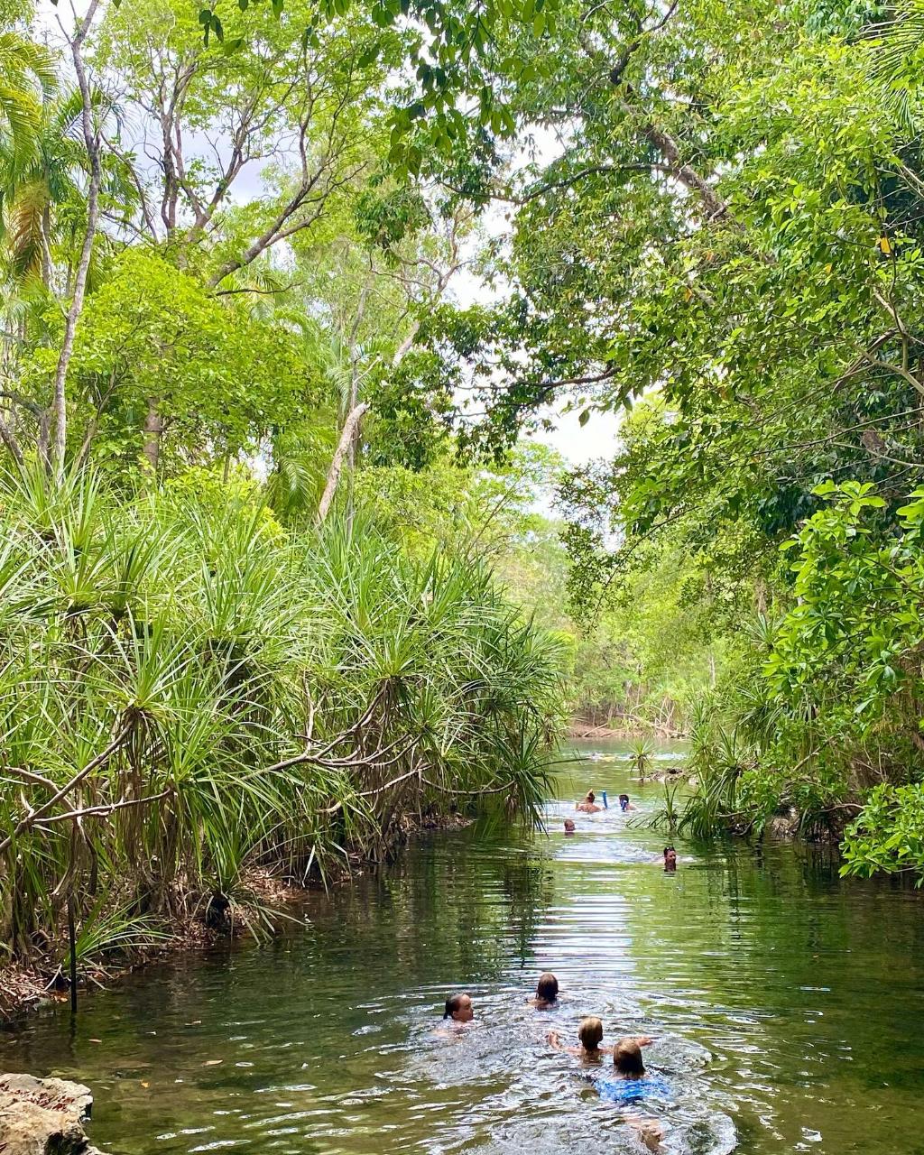 Jumping Crocodile Cruise and Berry Springs Litchfield Park Adventures