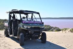 Pink Lake Buggy Tour