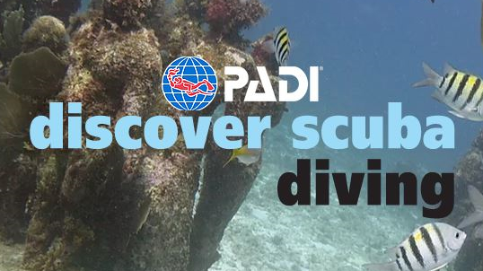 PADI DISCOVER SCUBA DIVING