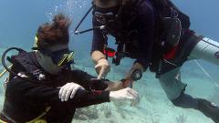 PADI SPECIALTY COURSE -  UNDERWATER NAVIGATION