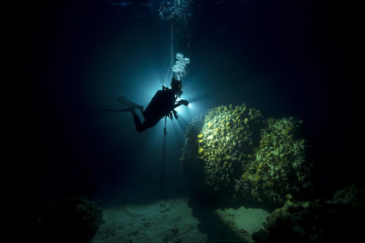 PADI SPECIALTY COURSE -  NIGHT DIVER