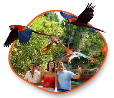 XCARET ADVENTURE PLUS