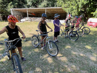 Group Coaching