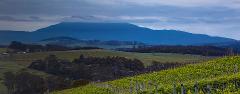 Dalrymple Unearthed - A Seasonal Wine Experience